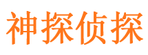 平南市私家侦探